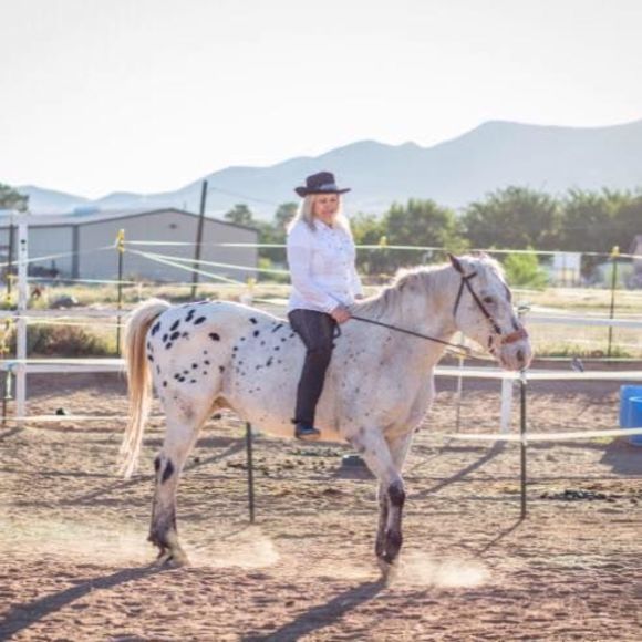 Meet your Posher, Jolie - Picture 1 of 1